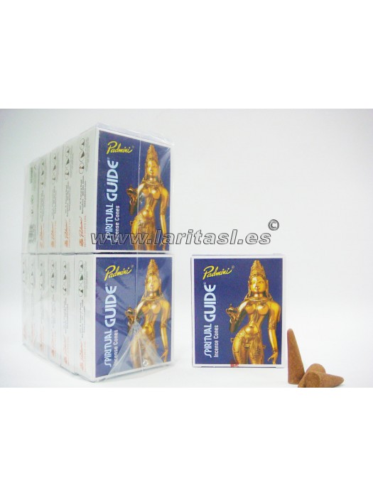 Incienso Conos Padmini Spiritual Guide